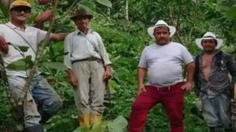 Men standing in a jungle or forest