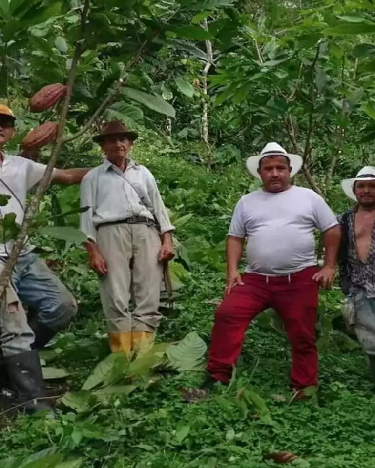 men standing in the jungle